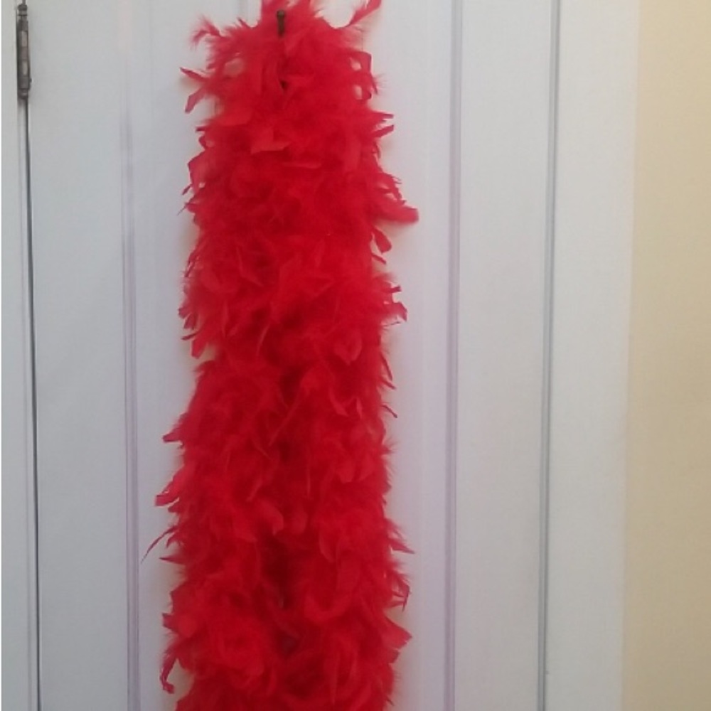 Box Lot 2 Feather Boa 6' Foot bachelorette party for dress or decoration